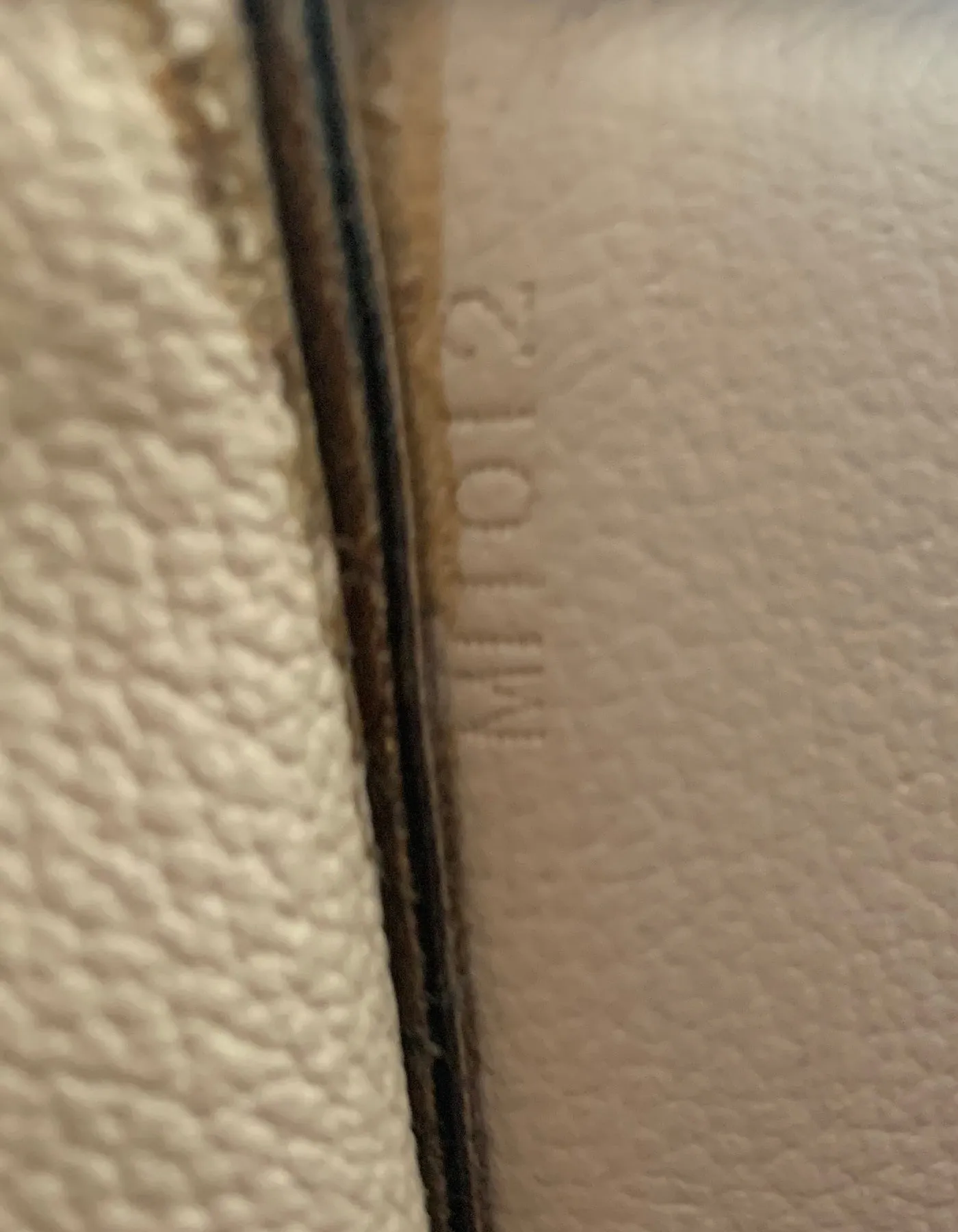 Louis Vuitton Monogram Sac Plat Tote