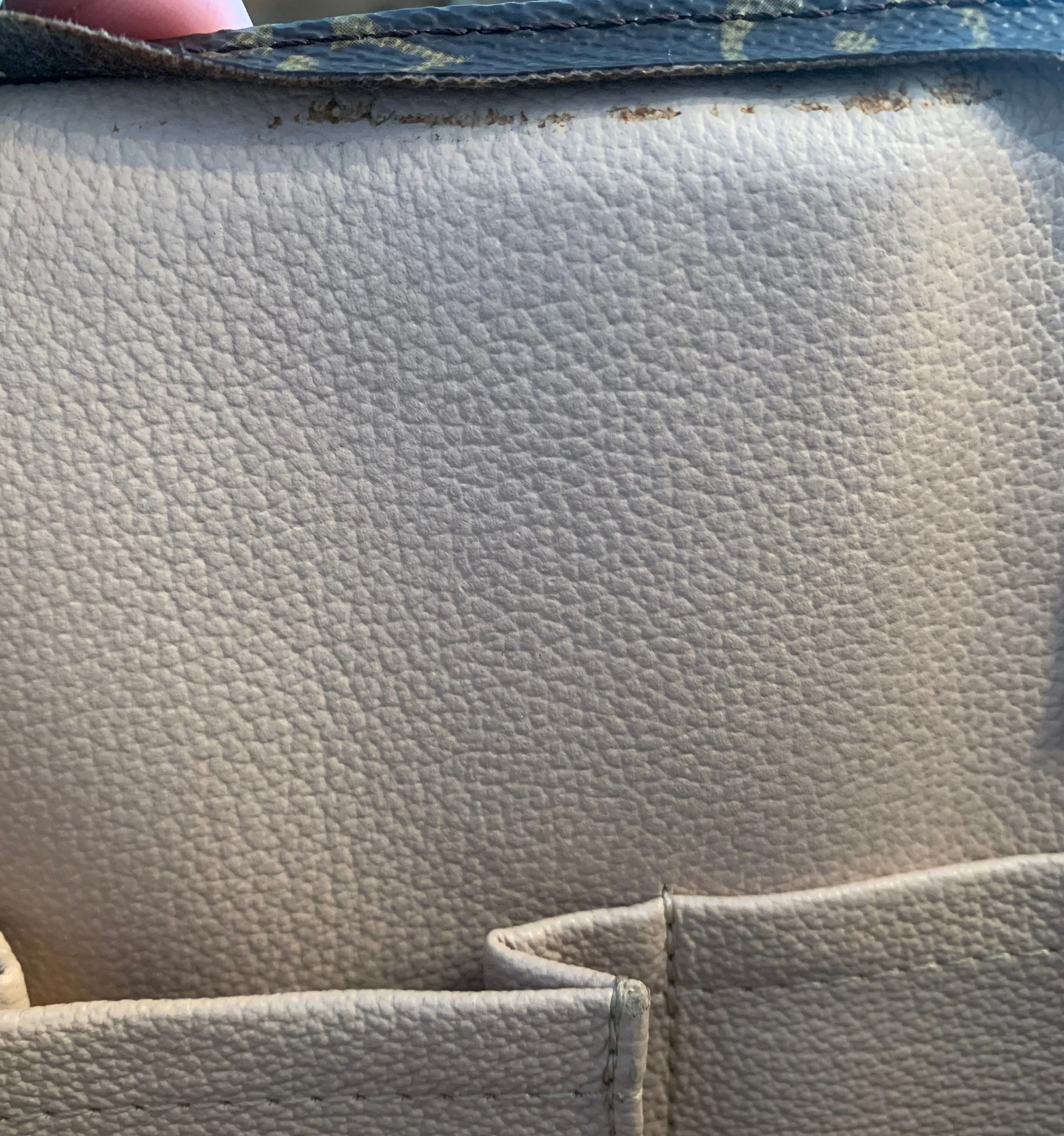 Louis Vuitton Monogram Sac Plat Tote