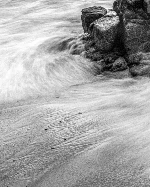 Transitions: Mary Martin DeShaw: Lines in the Sand 3